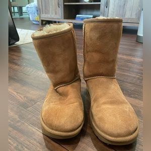 Chestnut Uggs